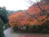 dscf0145_small.jpg