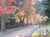 dscf0146_small.jpg