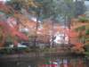 dscf0147_small.jpg