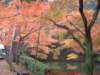 dscf0148_small.jpg