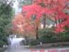 dscf0151_small.jpg