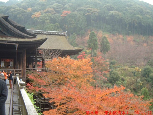 dscf0153.jpg