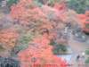 dscf0154_small.jpg