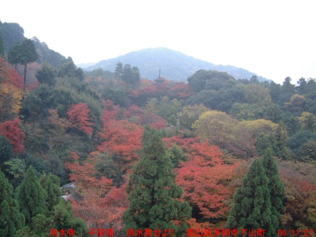 dscf0155.jpg