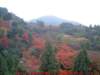 dscf0155_small.jpg