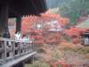 dscf0157_small.jpg