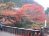 dscf0158_small.jpg