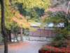 dscf0162_small.jpg
