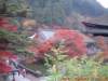 dscf0163_small.jpg