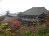 dscf0165_small.jpg