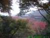 dscf0167_small.jpg
