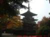 dscf0169_small.jpg