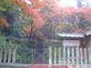 dscf0170_small.jpg