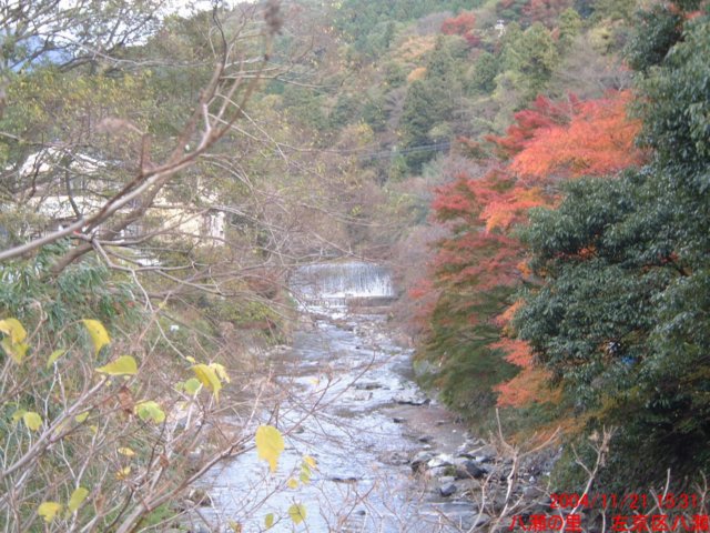 dscf0174.jpg