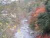 dscf0174_small.jpg