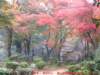 dscf0176_small.jpg
