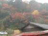 dscf0180_small.jpg