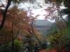 dscf0181_small.jpg