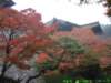 dscf0184_small.jpg
