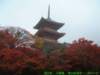 dscf0185_small.jpg