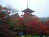 dscf0186_small.jpg