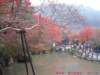 dscf0187_small.jpg
