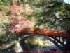 dscf0232_small.jpg