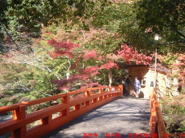 dscf0233.jpg