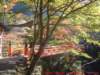 dscf0234_small.jpg