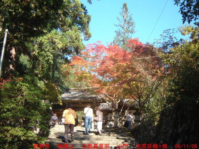 dscf0235.jpg