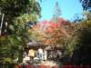 dscf0235_small.jpg