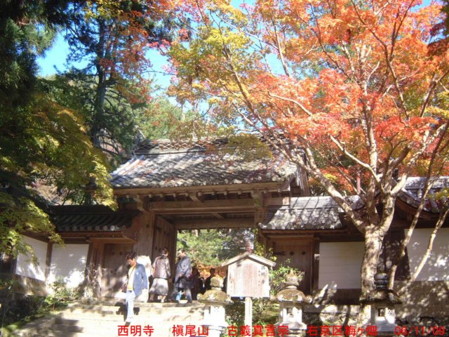 dscf0236.jpg