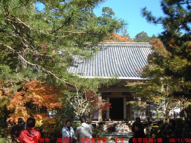 dscf0238.jpg