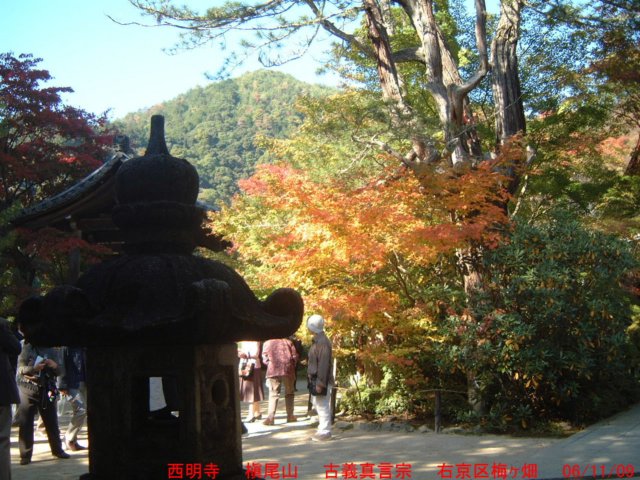 dscf0239.jpg