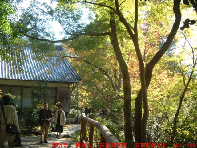 dscf0241.jpg