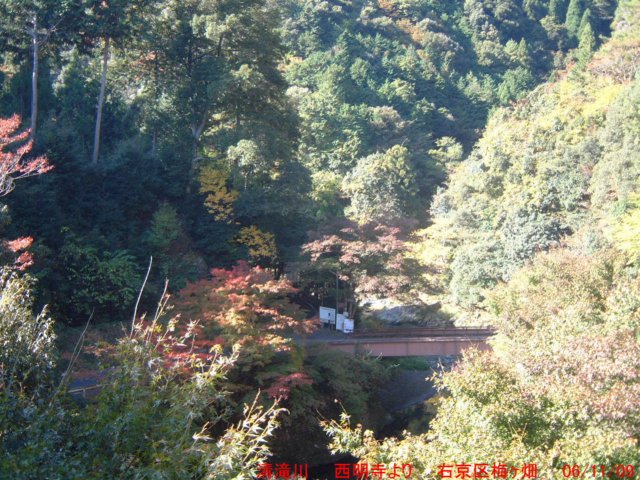 dscf0242.jpg