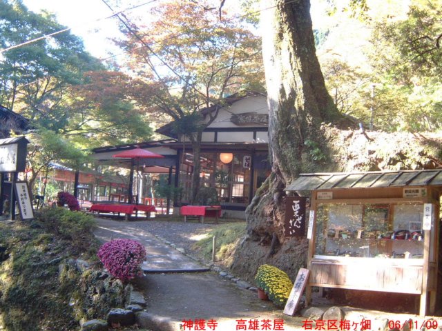 dscf0246.jpg