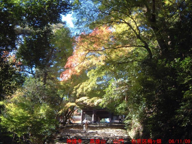 dscf0249.jpg