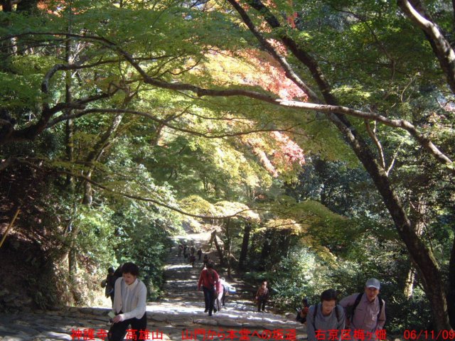 dscf0251.jpg