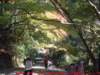 dscf0251_small.jpg