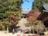 dscf0261_small.jpg