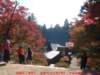 dscf0271_small.jpg