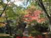 dscf0274_small.jpg