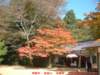 dscf0275_small.jpg