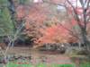 dscf0310_small.jpg