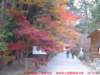 dscf0311_small.jpg