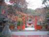 dscf0312_small.jpg