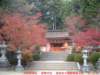 dscf0313_small.jpg