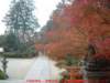 dscf0314_small.jpg