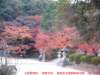 dscf0315_small.jpg